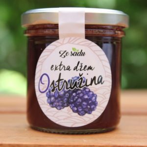 domaci-ostruzinovy-dzem